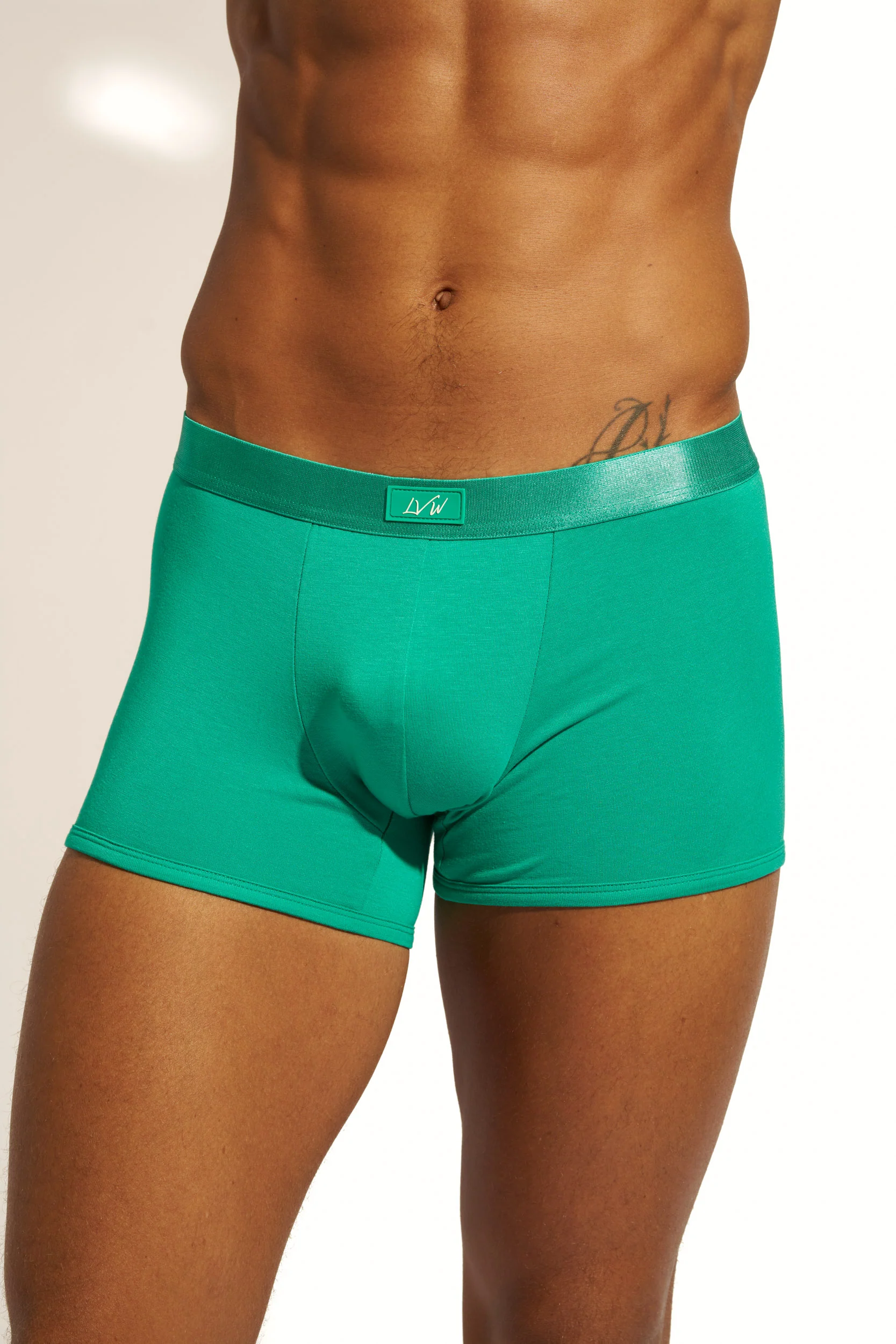 MINIMALISTIC SILK BOXER BRIEF - EMERALD - Image 7