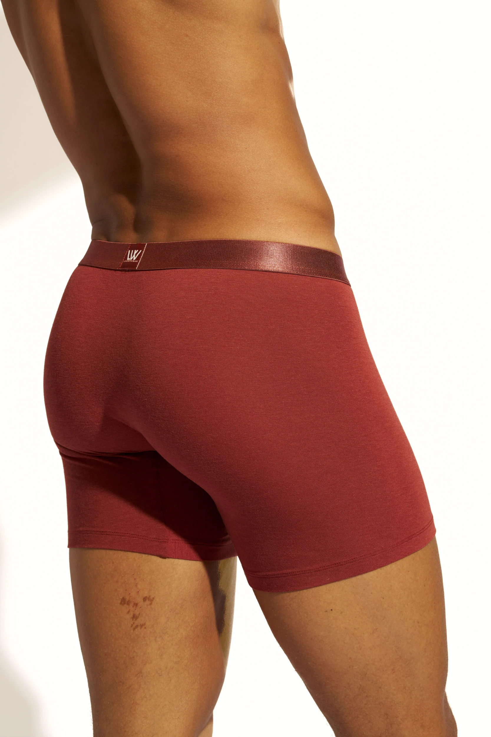 MINIMALISTIC SILK BOXER BRIEF LONG - BRANDY SNIFTER - Image 9